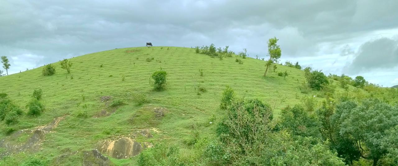 Vagamon Clouds Hotel Eksteriør billede